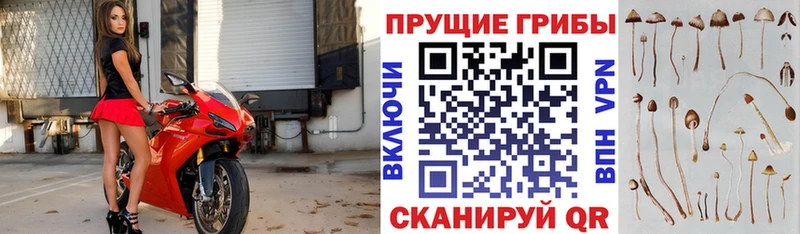 кракен ONION Туапсе Галлюциногенные грибы мухоморы